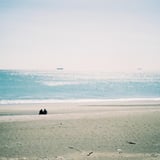 海
