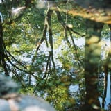 水のキャンパス