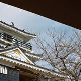 浜松城