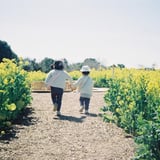 花の姉妹