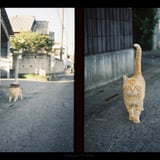 距離感