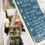 いらっしゃいませ