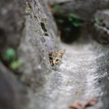 \コンニチワ/