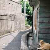 街かど