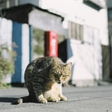 われ、何見とんじゃ？