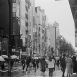 2024/03 雨の日の新宿