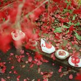 石の朱鷺
