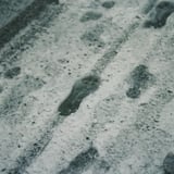 雪の足跡