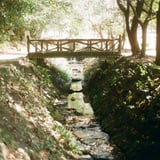 公園