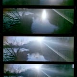 夕日   2