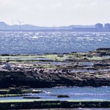 海