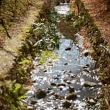 公園