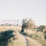 冬の散歩道