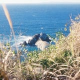 伊良湖     
