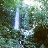養老の滝