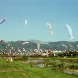 五月