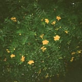 雨天