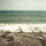 海