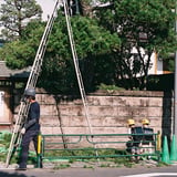 興味しんしん