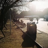 上野公園にて