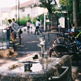 釣り堀と水飲み場