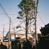 すっと立つ
