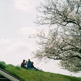 お花見