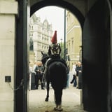 Household Cavalry
