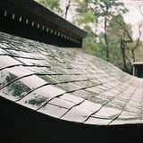 雨