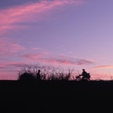 夕暮れ・多摩川土手