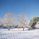 雪の日の朝