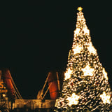 夜のディズニーシーのクリスマスツリー