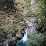 色づきはじめの西沢渓谷