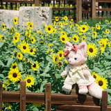リーナベルと向日葵