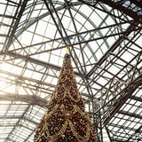 ディズニーランドのクリスマスツリー