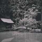 池の中にある神社