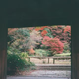門の向こう