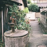 朽ちた井戸