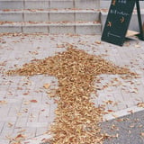 落ち葉の道しるべ