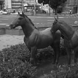 2頭の馬の銅像