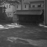早朝の神社