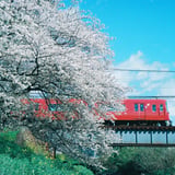 桜と名鉄