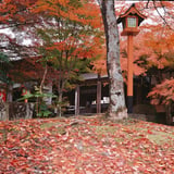 紅色の世界