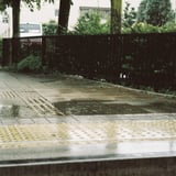 今日も雨
