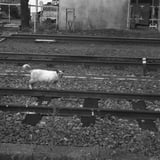 小さな保線員