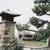 令和の常夜燈と松