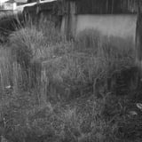 住居の遺跡