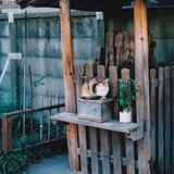 猫神様