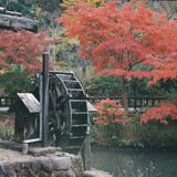水車と紅葉