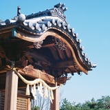 高い所から見守ってます